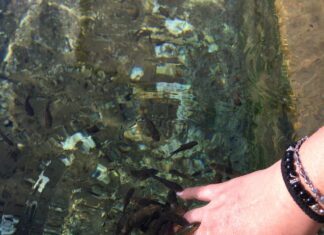 Direksiyonda Uyumak ve Tur Otobüsü Kazası